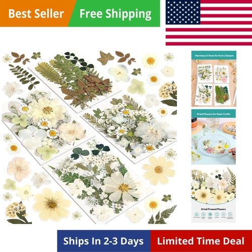 Dried flowers 100pcs - dried,